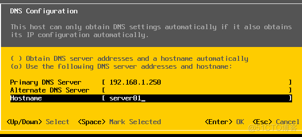 esxi分配服务器资源 服务器部署esxi_DNS_14