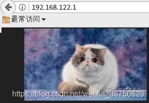 nginx匹配认证 nginx 地址匹配_nginx匹配认证_07