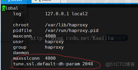 haproxy source haproxy source 负载均衡_haproxy source_09