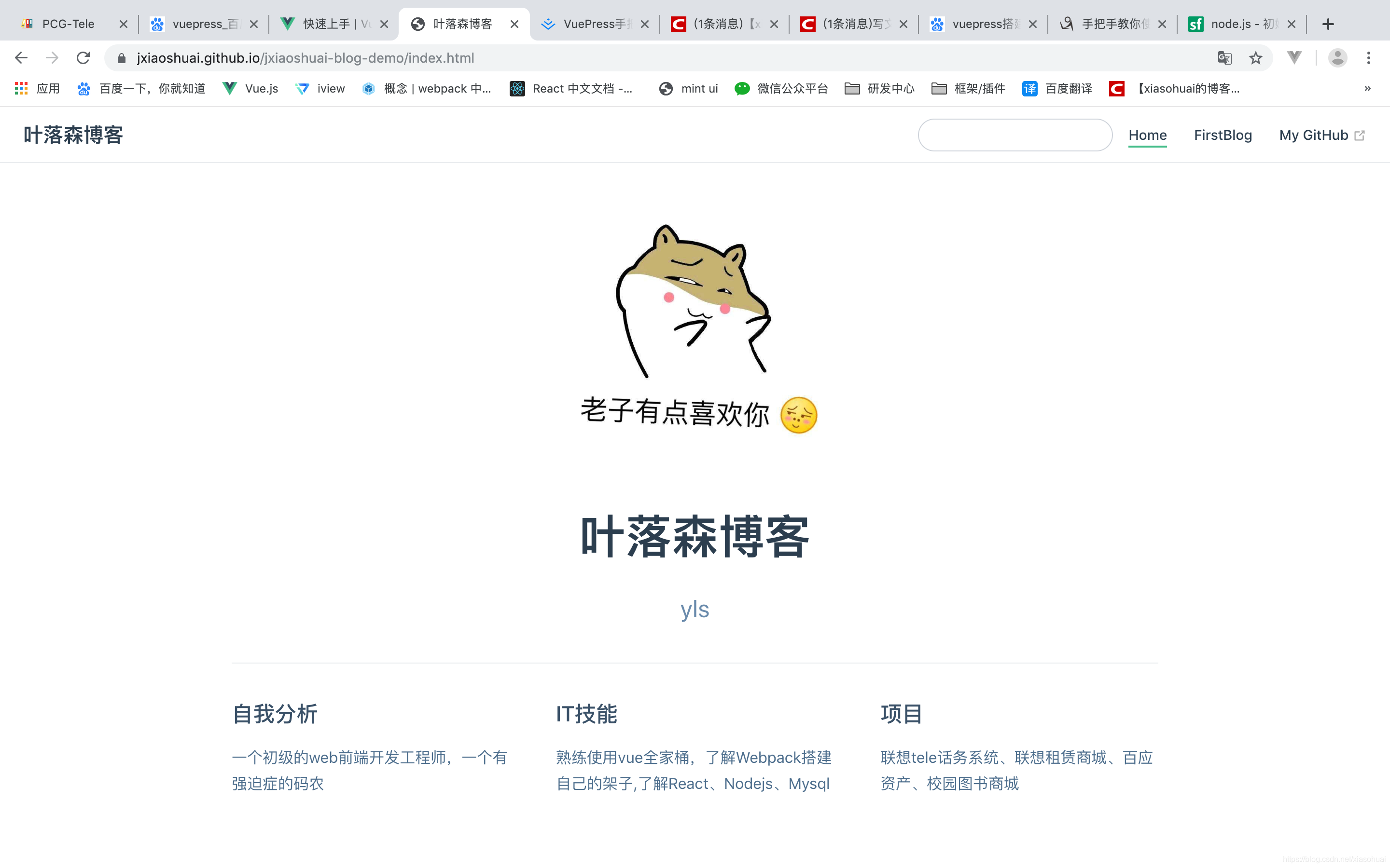 vuepress 可以搭建官网吗 vuepress博客搭建_ide_04