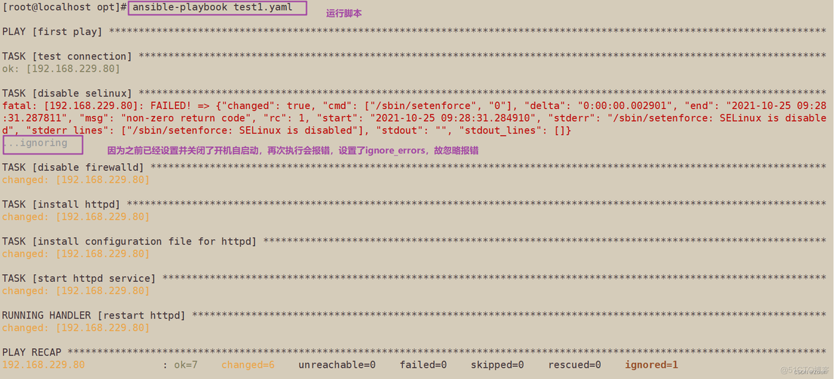 ansible 脚本执行结果 ansible 运行脚本_运维_02