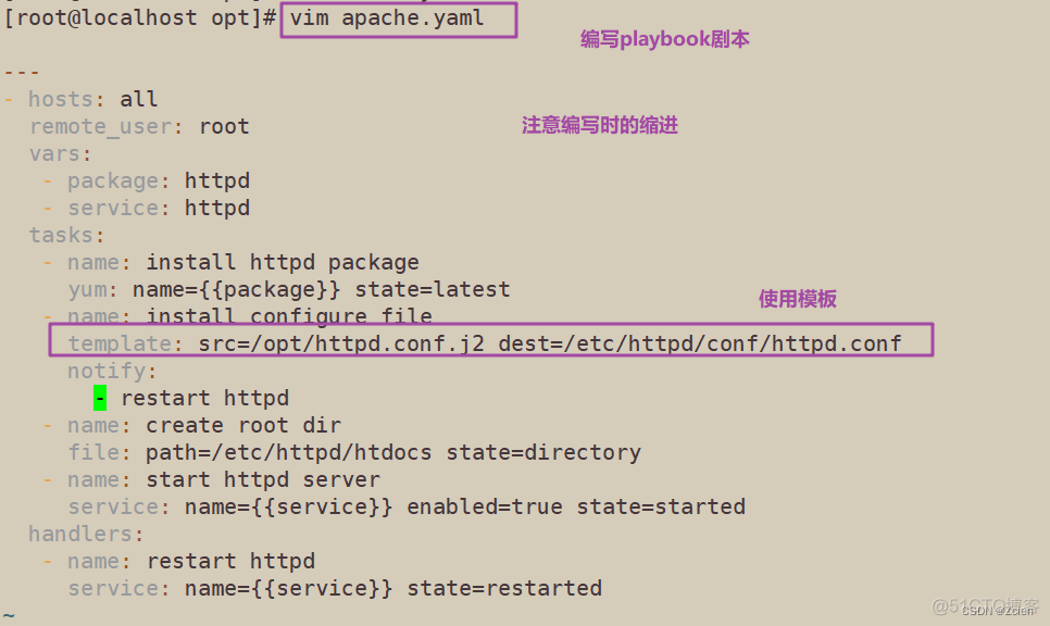 ansible 脚本执行结果 ansible 运行脚本_vim_16