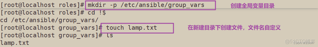 ansible 脚本执行结果 ansible 运行脚本_自动化_24