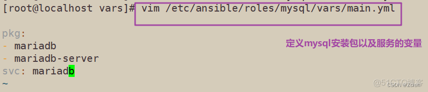 ansible 脚本执行结果 ansible 运行脚本_ansible_31