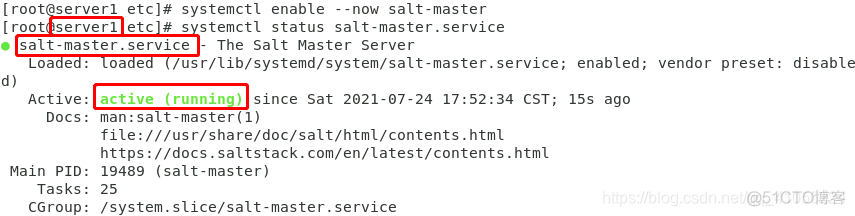 saltstack和ansible 应该学哪个 saltstack部署_SaltStack_06