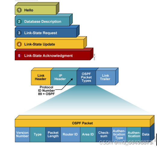 OSPF的always参数 ospf lsu_OSPF