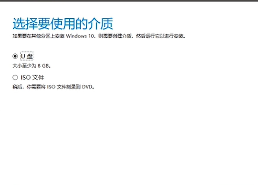 flannel镜像 firpe镜像iso_启动项_11