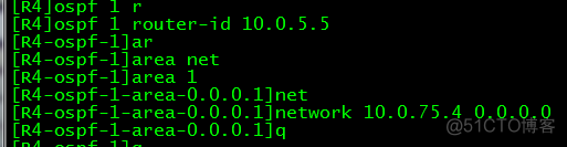 OSPF 故障处理案例 ospf故障排除实验_子网掩码_13