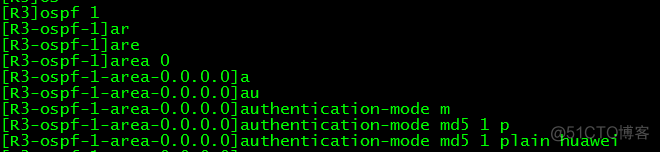 OSPF 故障处理案例 ospf故障排除实验_虚电路_52