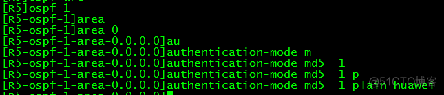 OSPF 故障处理案例 ospf故障排除实验_hcip_54