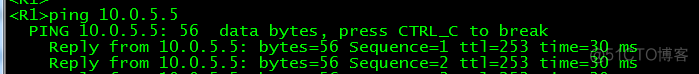 OSPF 故障处理案例 ospf故障排除实验_子网掩码_59