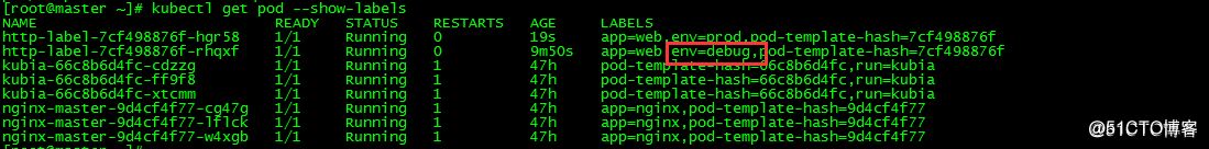 k8s pod容器启动命令 k8s进入pod中容器_运维_06