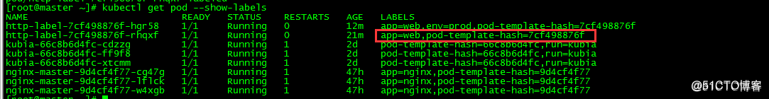 k8s pod容器启动命令 k8s进入pod中容器_网络_07