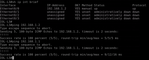 EVE镜像安装教程 eve-ng导入镜像_Cisco_12