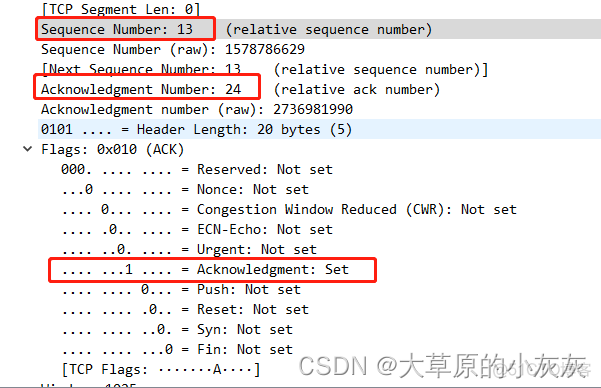 wireshark分析 tcpdump的抓包文件 怎么搞 wireshark抓包tcp步骤及分析_网络协议_25