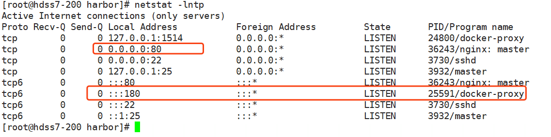 二进制安装wordpress 二进制安装etcd_docker_09