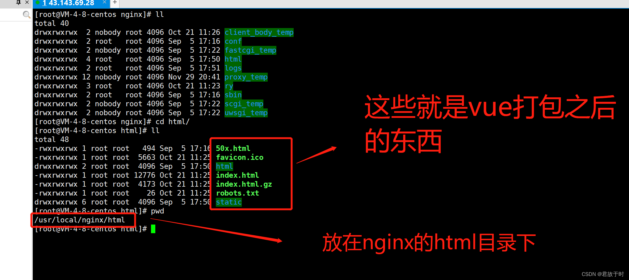 windows上nginx部署前后端 nginx配置前后端_服务器_06