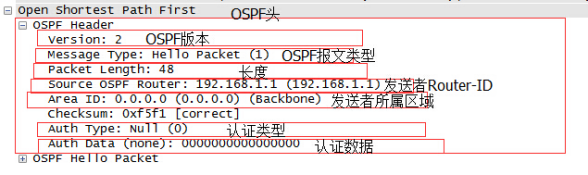 ospf dd报文是广播还是单播 ospf组播报文_网络_02