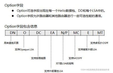 ospf dd报文是广播还是单播 ospf组播报文_单播_03