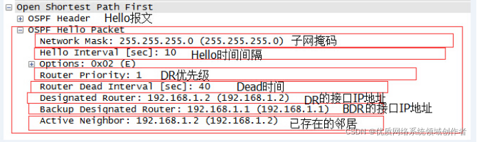 ospf dd报文是广播还是单播 ospf组播报文_组播_04