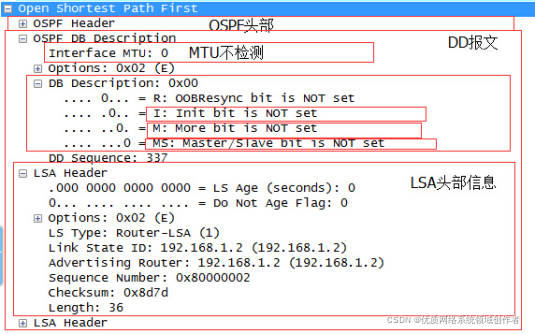 ospf dd报文是广播还是单播 ospf组播报文_单播_05