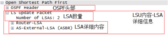 ospf dd报文是广播还是单播 ospf组播报文_单播_08