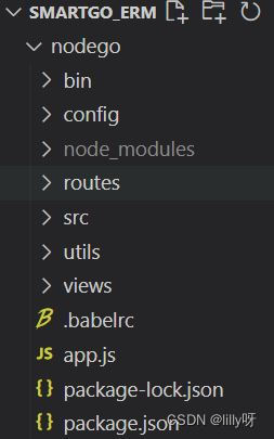 nginx 反向代理 ip host not found in upstream nginx反向代理服务_nginx_11