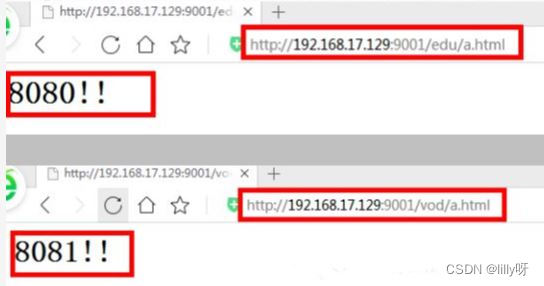 nginx 反向代理 ip host not found in upstream nginx反向代理服务_nginx_19