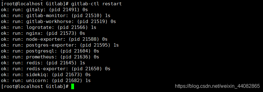 centos6 gitlab禁用开机自动启动 centos gitlab搭建_远程仓库_19