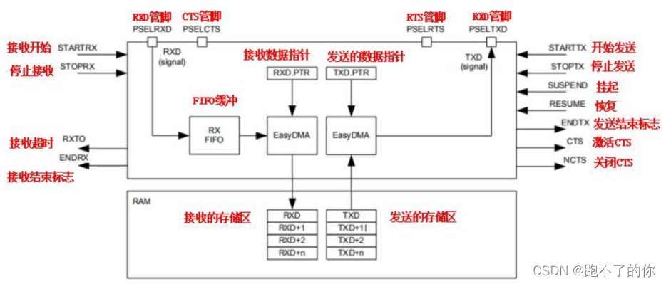 nRF52832——串口 UART 和 UARTE 外设应用_数据_02