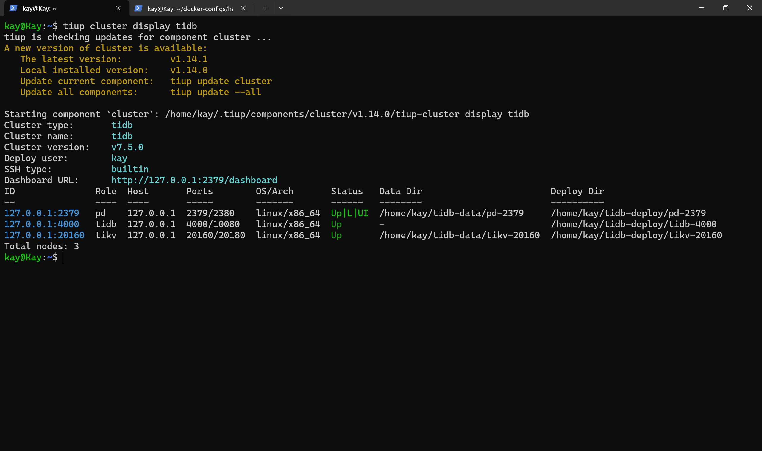 Haproxy 探活 TiDB in Action_tikv