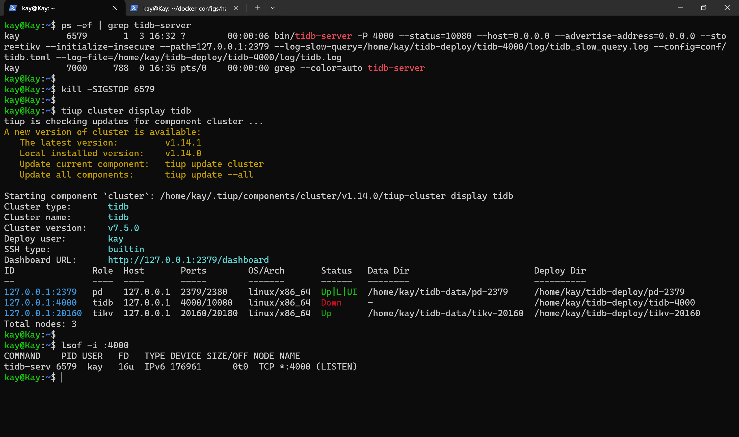 Haproxy 探活 TiDB in Action_mysql_03