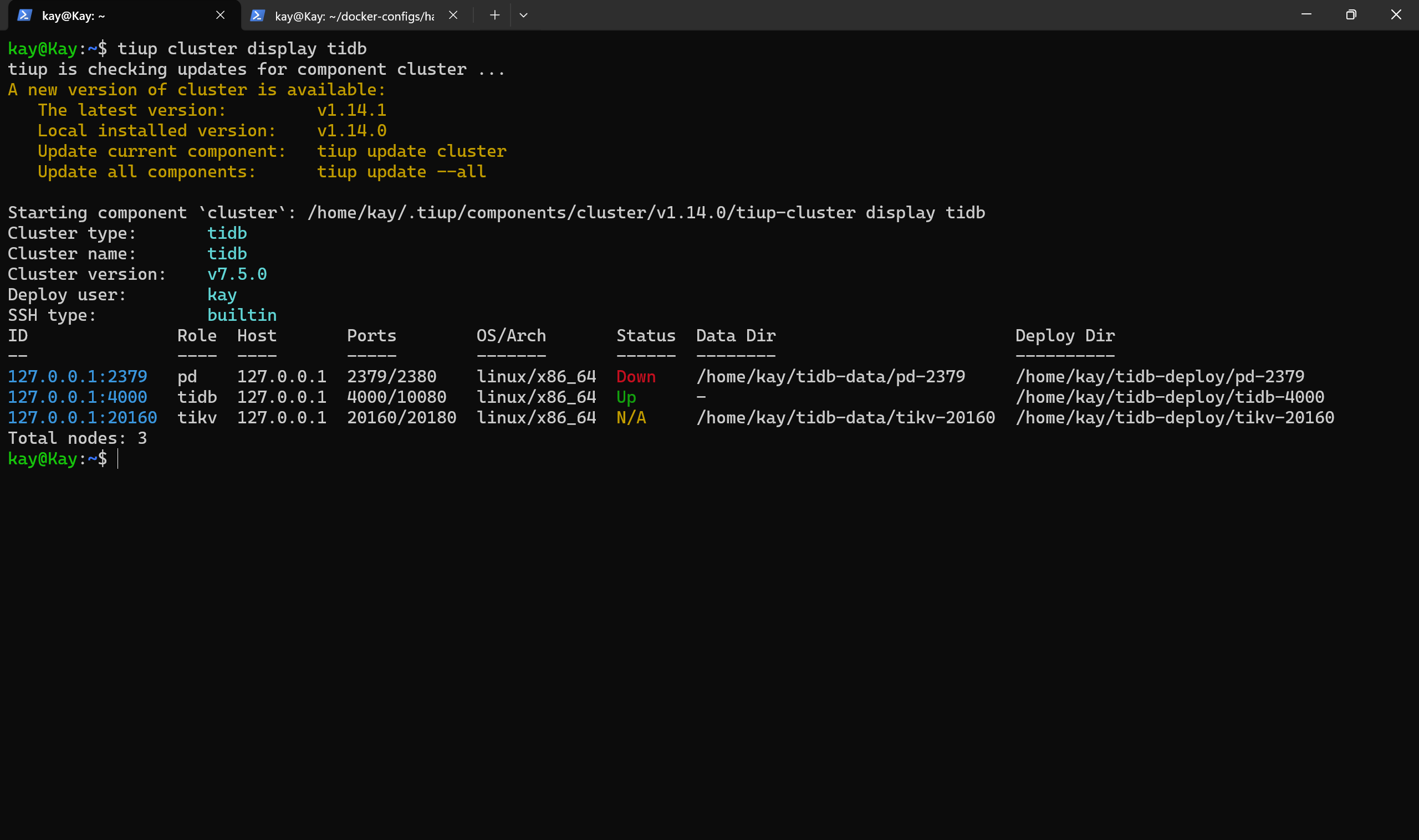 Haproxy 探活 TiDB in Action_tikv_08