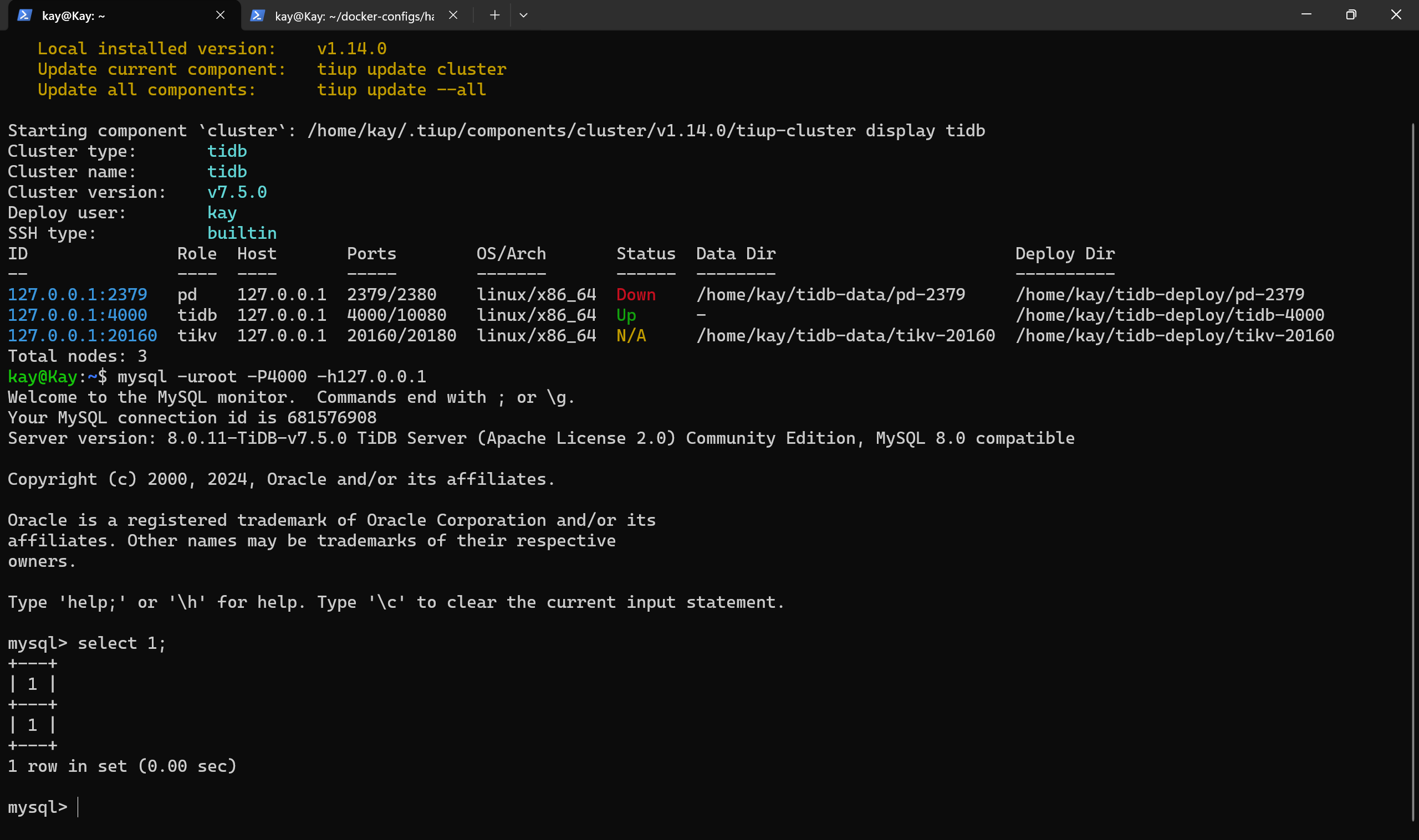 Haproxy 探活 TiDB in Action_tidb_09