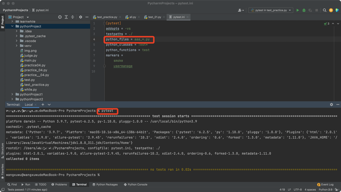 pytest 添加lib pytest addoption_Test_03