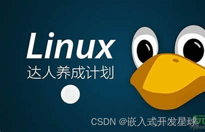 嵌入式linux系统特征分析_开发者