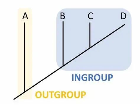 重建系统发育关系==分子数据建树？_二叉树_09