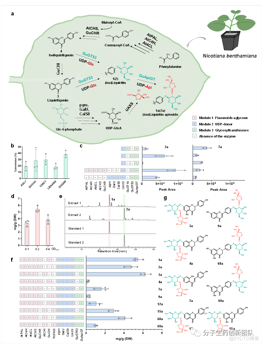 Nature Communications | 北京大学叶敏/乔雪团队在豆科植物芹糖苷类成分的生物合成研究方面取得重要进展..._数据库_08