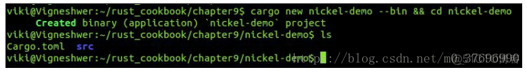 如用rust 编写nginx功能 rust web开发_服务器