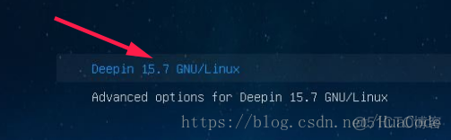 deepin kvm显卡直通 deepin切换显卡驱动不能开机_解决方案_02