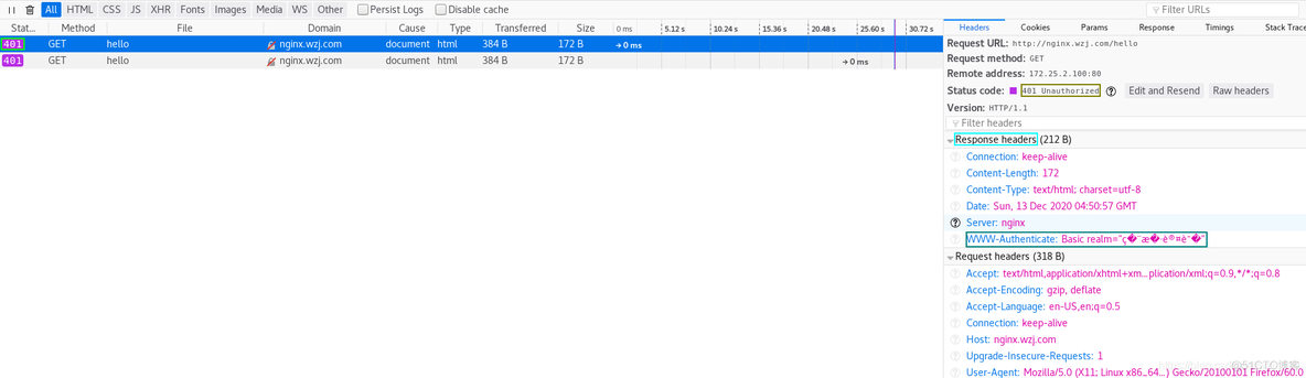 tekton nginx auth验证 nginx authorization_客户端_15