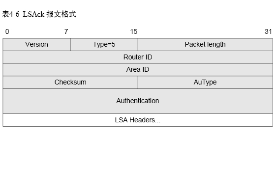 ospf的五种报文和时间 ospf有哪些报文_字段_05