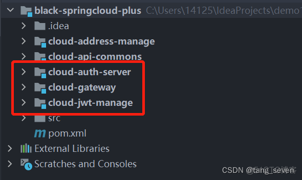 spring could nacos关掉鉴权配置 spring cloud gateway 鉴权_spring cloud_03