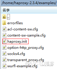 haproxy无法启动绑定端口 haproxy 启动_运维_03