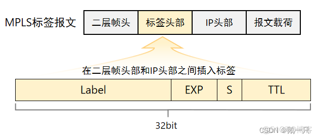 MPLS能否传输组播 mpls支持的网络协议_IP_02