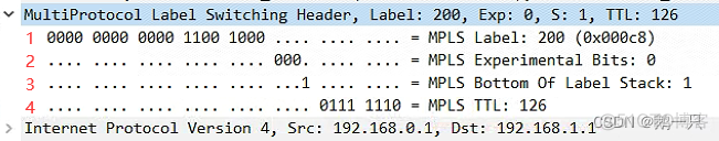 MPLS能否传输组播 mpls支持的网络协议_字段_03