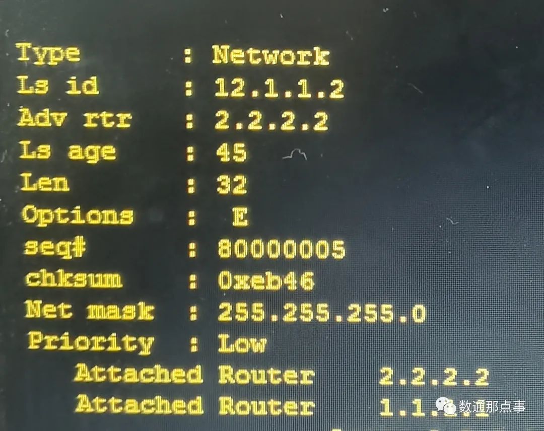 ospf lsa比较 ospf常用的lsa类型_链路_08