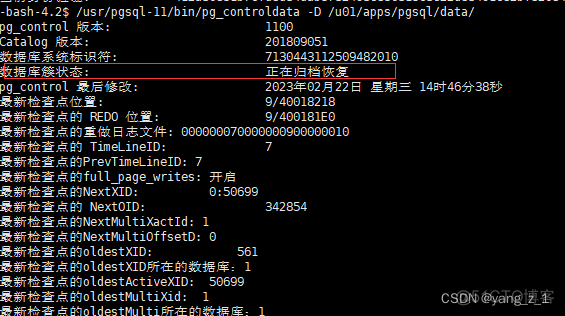 postgressql切换账户 pgsql切换数据库_数据库_06