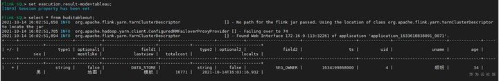 flink sql维表关联 flink sqlserver_flink_10