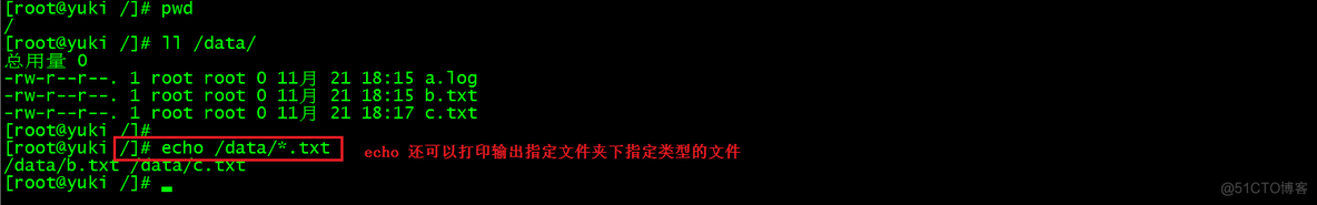 echo 命令详解 echo命令怎么读_换行符_07